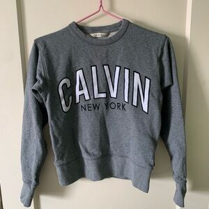 Calvin Klein Jeans Gray Crewneck Sweatshirt with Bold Logo